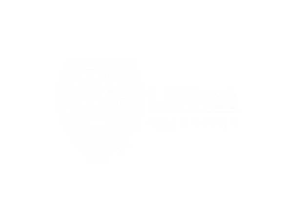 LBoss CarSelect